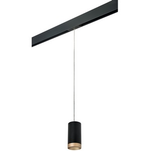 Изображение товара Трековый светильник однофазный 220V Lightstar Rullo PRORP43740