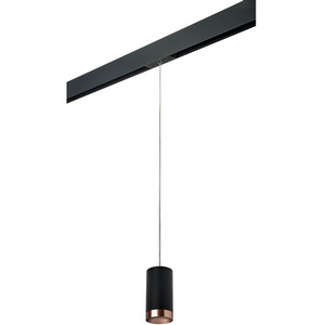 Изображение товара Трековый светильник однофазный 220V Lightstar Rullo PRORP437430