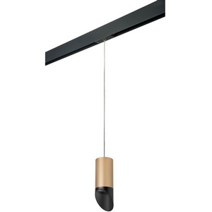 Изображение товара Трековый светильник однофазный 220V Lightstar Rullo PRORP44037