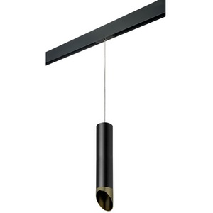 Изображение товара Трековый светильник однофазный 220V Lightstar Rullo PRORP497131