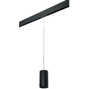 Изображение товара Трековый светильник однофазный 220V Lightstar Rullo PRORP6487