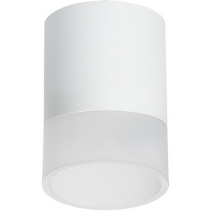 Изображение товара Светильник точечный накладной Lightstar Rullo R348681