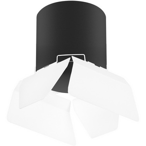 Изображение товара Светильник точечный накладной Lightstar Rullo R3487486