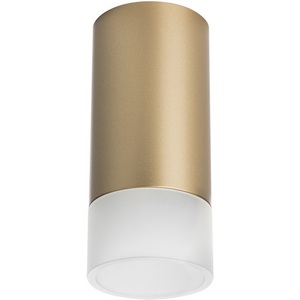 Изображение товара Точечный накладной светильник Lightstar RULLO R44031 50W в стиле хай-тек золото