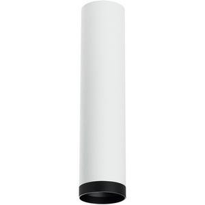 Изображение товара Точечный накладной светильник (214496+203437) Lightstar RULLO R4963437