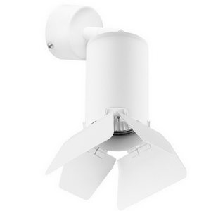 Изображение товара Спот Lightstar RULLO RB436436