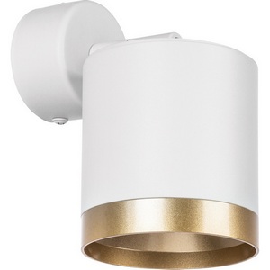 Изображение товара Спот Lightstar Rullo RBX34863490