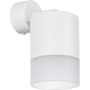 Изображение товара Спот Lightstar Rullo RBX348681