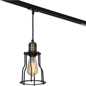 Изображение товара Трековый светильник однофазный 220V Lights Lussole Loft Baldwin LSP-9610-TAB