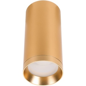 Изображение товара Накладной светильник Lucia Tucci LTP LTP-C005-01GU10-G