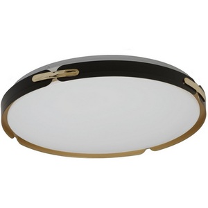 Изображение товара Потолочный светильник круглый LED Lumina Deco Paneli LDC 8063-48W BK