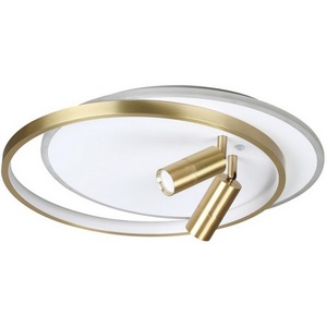 Изображение товара Потолочная LED люстра с ПДУ Lumion Naoko 5603/63CL