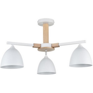 Изображение товара Потолочная люстра на штанге Lumion Colange 8095/3C белый/белый металл, дерево/металл Е27 3*60W 220V
