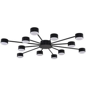 Изображение товара Потолочная люстра Lumion Torina 8344/12C черный, металл GX53 LED 12*7W 220V