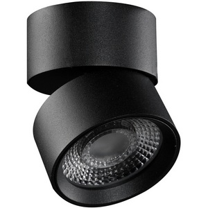 Изображение товара Точечный светильник влагостойкий светодиодный накладной Lumker RINK R-SSF-BL-WW