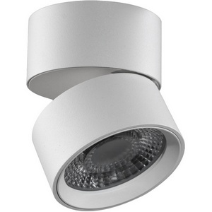 Изображение товара Точечный светильник влагостойкий светодиодный накладной Lumker RINK R-SSF-WH-NW