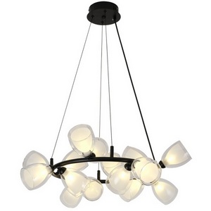 Изображение товара Подвесная люстра Lussole Inglewood LSP-6063