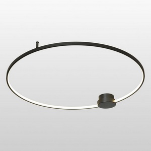 Изображение товара Потолочный светодиодный светильник Lussole Lowell LSP-7110 кольцо