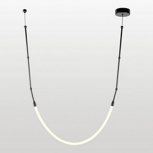 Изображение товара Подвесной светильник с гибким неоном Lussole Skew LSP-7317