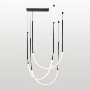 Изображение товара Подвесной светильник с гибким неоном Lussole Skew LSP-7318