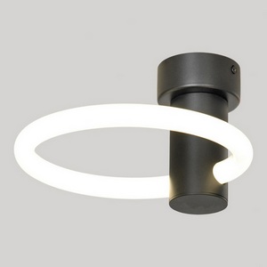 Изображение товара Настенно-потолочный светильник Lussole Lowell LSP-7364