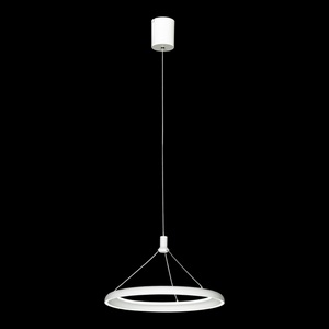 Изображение товара Подвесной светодиодный светильник Lussole Hardin LSP-7425 кольцо