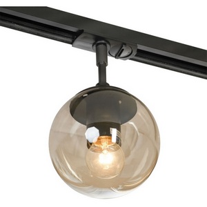 Изображение товара Трековый светильник однофазный 220V Lussole Hartwell LSP-8167-TAB