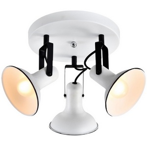 Изображение товара Спот Lussole Fargo LSP-8803