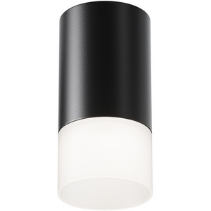 Изображение товара Накладной потолочный светильник Pauline GU10 1x10Вт Maytoni Technical C007CW-01B