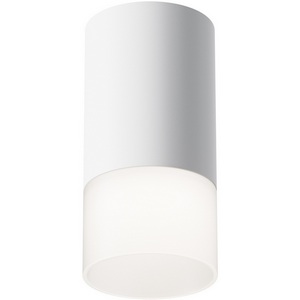 Изображение товара Накладной потолочный светильник Pauline GU10 1x10Вт Maytoni Technical C007CW-01W