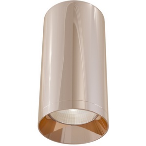 Изображение товара Накладной светильник Maytoni Alfa C010CL-01RG