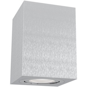 Изображение товара Накладной светильник Maytoni Alfa C017CL-01S