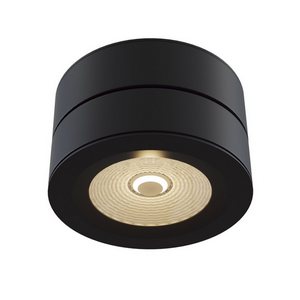 Изображение товара Накладной светодиодный светильник Maytoni Treviso C023CL-L20B