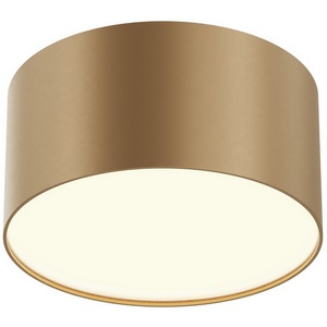 Изображение товара Потолочный светильник круглый LED Maytoni Zon C032CL-12W3K-RD-MG