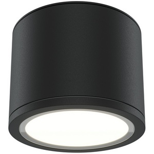 Изображение товара Накладной потолочный светильник влагостойкий Maytoni Rendo C095CL-GX53-B