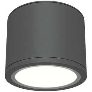 Изображение товара Накладной потолочный светильник влагостойкий Maytoni Rendo C095CL-GX53-GR