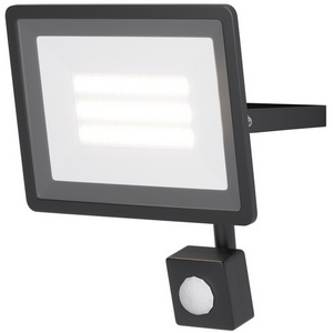 Изображение товара Прожектор уличный IP65 светодиодный с датчиком движения Maytoni Flood FL001-L30B6KSR