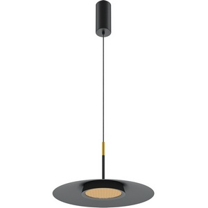 Изображение товара Подвесной светодиодный светильник Maytoni El MOD041PL-L15B3K1