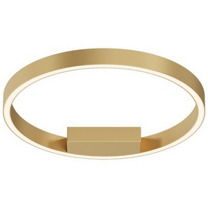 Изображение товара Потолочный светильник LED Maytoni Rim MOD058CL-L25BSK кольцо