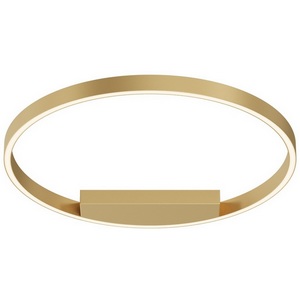 Изображение товара Потолочный светильник светодиодный Maytoni Rim MOD058CL-L35BSK кольцо