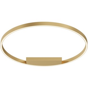 Изображение товара Потолочный светильник LED Maytoni Rim MOD058CL-L50BSK кольцо