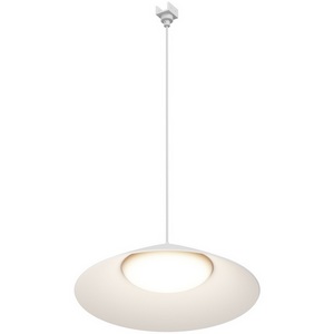 Изображение товара Трековый светильник низковольтный, уличный, светодиодный LED 48V 12W Maytoni Campana O-TR01-1-P-12WW3K