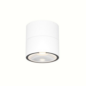 Изображение товара Уличный потолочный светильник IP54 светодиодный Maytoni Spin O310CL-L12W3K