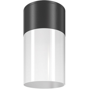 Изображение товара Потолочный светильник уличный IP54 Maytoni Willis O418CL-01B