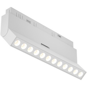 Изображение товара Трековый светильник 48V Points rot Exility 4000K 12Вт 36° LED (магнитный) Maytoni Technical TR033-2-12W4K-W