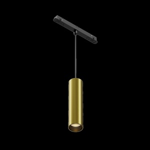 Изображение товара Трековый светильник магнитный 48V Maytoni Technical Focus LED TR041-2-12W3K-BBS