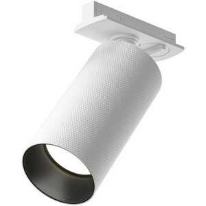 Изображение товара Точечный светильник галогенный однофазный 220V Maytoni Technical Artisan TR089-1-GU10-WW