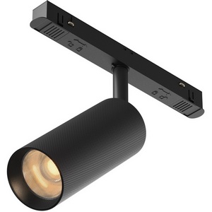 Изображение товара Трековый светильник LED магнитный 12W 48V Maytoni Technical Artisan TR097-2-12W2.7K-M-BB