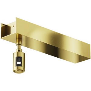 Изображение товара Основание потолочное Short для блока питания с вводом питания Flarity латунь Maytoni Accessories for tracks Flarity TRA156С-BB1-BS (159-7638)