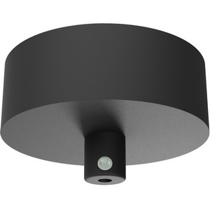 Изображение товара Накладная потолочная чаша для подвесных шинопроводов Maytoni Technical Accessories for tracks Arity TRA233SCB-B